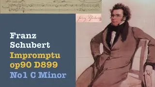 Home Flashmob 3.0 - Schubert Impromptu op90 D899 No1, C minor