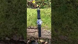 Invicta pro diver rubber strap           #invictaprodiver #invicta #divewatch #watch