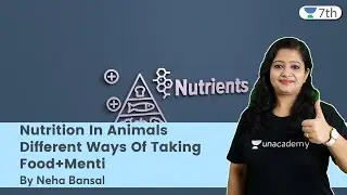 Nutrition In Animals | Different Ways Of Taking Food+Menti | Science | Unacademy 7th | Neha Bansal