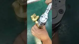 Tighten the Nut &ndash; Quick DIY Fix!  #everstein #shorts