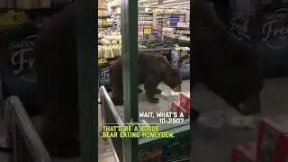 He just wants some snacks... 🐻 #FailArmy #shorts