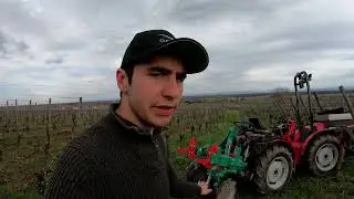 Buttage du cavaillon avec charrue Clemens - 2023