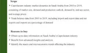 Caprolactam Industry Outlook in Saudi Arabia to 2019 - Market Size, Price Trends and Trade Balance