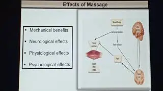 Swedish Massage Strokes