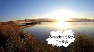Utah Fishing the Bear River for Catfish // Using Walmart fishing rod