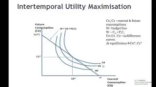 Intertemporal Capital decision: Capital, Rate of return & Net present value