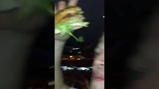 Green Day @ Oakland Coliseum 2017 Vlog