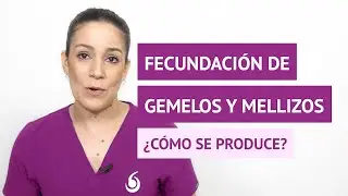 &iquest;C&oacute;mo se produce la fecundaci&oacute;n de gemelos y mellizos?