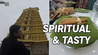 Mysore Vanlife Vlog: Spiritual Mornings at Chamundi Temple & Legendary Mylari Dosa #dosa #mysore 