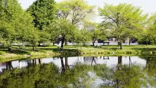 Club Merion Apartments in Columbia, MD - ForRent.com