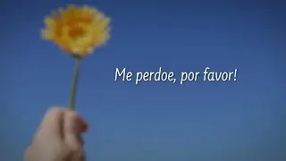 Pedido de desculpas