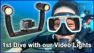 1st Dive with our SeaLife Video Dive Lights (GoPro & Sea Dragon 2500F)