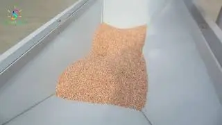 6FW B10 Quinoa peeling machine One time peel it in dry way