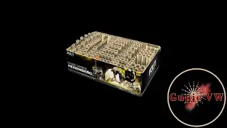 Heisenberg - Volt - Straatvideo 2024/2025 - 6254