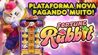 💥FORTUNE RABBIT PAGANDO AO VIVO 🔥 | COMO APROVEITAR OS MELHORES MOMENTOS