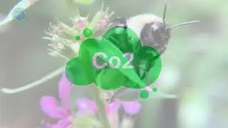 Y on Earth Community   Simple Gardening Wisdom Video Course   Benefits of Gardening by Aaron Perry
