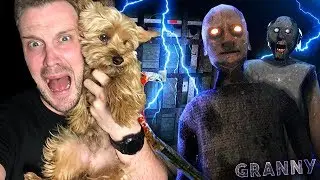 LUDA BABA I LUDI DEDA PREPALI MOGA PSA KOKA ! - Granny Chapter 2 Igrica