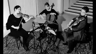 Franz Trio plays Gideon Klein's string trio (Terezin, 1944) I. Allegro