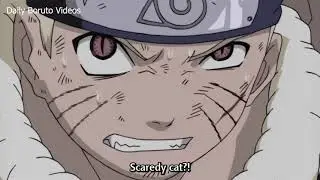 Are you Hurt ... Scaredy Cat ?