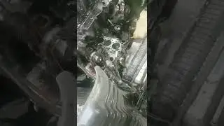 DD15 head removal