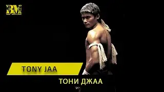 Tony Jaa Muay Thai Warrior #shortvideo #tonyjaa
