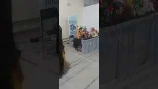 Pop culture festival 2025 &mu;έ&rho;&omicron;&sigmaf; 3&omicron;