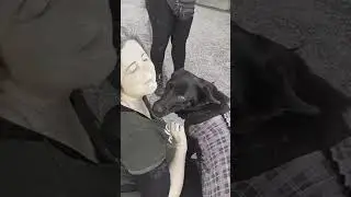 MORA CERCA CASA - ADOTTATA!