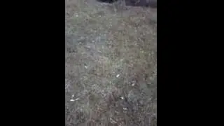 Прыжок веры...