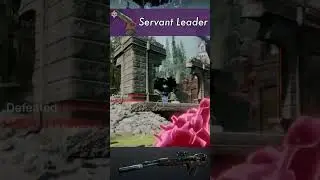 60 second Servant Leader guide! #destiny2