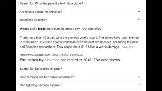 bird hit plane