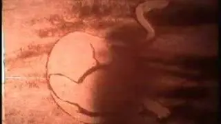Sand Art: Evil Cat