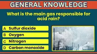 How Good Is Your General Knowledge? Take This 10-question Quiz To Find Out! #generalknowledge #GK