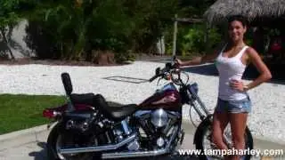 Used 1997 Harley-Davidson FXSTC Softail Custom Motorcycles for Sale