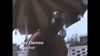 Mobster: Roy DeMeo and the DeMeo Crew