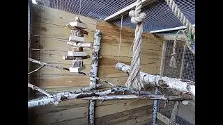wyposażenie woliery dla papug, parrot aviary equipment, equipo de la pajarera del loro,