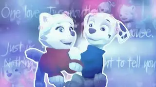 ◅♡𝐌𝐚𝐫𝐬𝐡𝐚𝐥𝐥 𝐚𝐧𝐝 𝐄𝐯𝐞𝐫𝐞𝐬𝐭♡▻