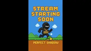 PERFECT SHADOW Arc Raiders