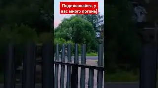 погоня за питбайком #дпс #полиция #эндуро #питбайк #music #шкода