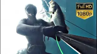 PESCANDO EN EL NORTE