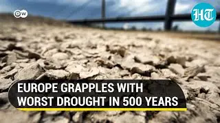 Heat wave, Wildfires & Dry Rivers: How Europe is reeling under severe drought | Explained