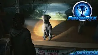 Alan Wake 2 - The Nice Things in Life Trophy / Achievement Guide (Pet Mayor Setter)