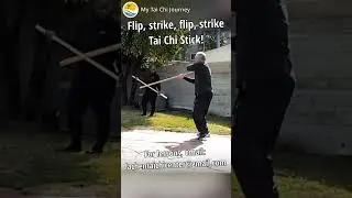 Tai Chi Stick