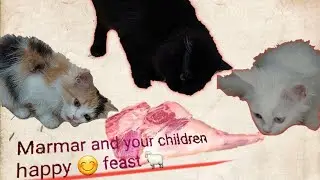 I am😊 gonna fill marmar's stomach and his children with meat 🍖