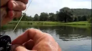 FALL DRY FLY FISHING FOR WILD TROUT - HITTING THE FALL ANT HATCH
