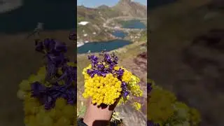 Hakkari/y&uuml;ksekova Cilo Sat G&ouml;LLeri