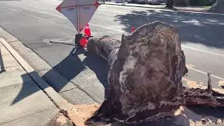 Super winds: Ventura County California. Cursed? No rain, water, jobs, laws, broken roads, Fires HELP