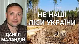 ХТО ЗАБРАВ НАШ ЛІС? Не наші Ліси України. Програма мільярд дерев ще працює? Данііл Маландій.