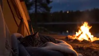 🌸 12 Hours Calming Cat Sleep Music 🐾 Anti-Anxiety Comfort &mdash; Cozy Fireside & Lakeside Camp Ambience