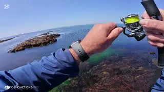 Big irish bass on a green wave worm