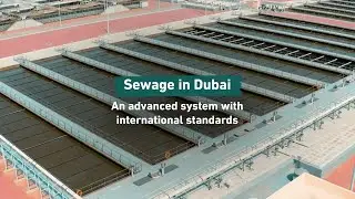 Sewage in Dubai